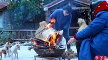 Sementes de amendoim e melão, carne seca, frutas secas, bolo de floco de neve - Lanches para o Festival da Primavera