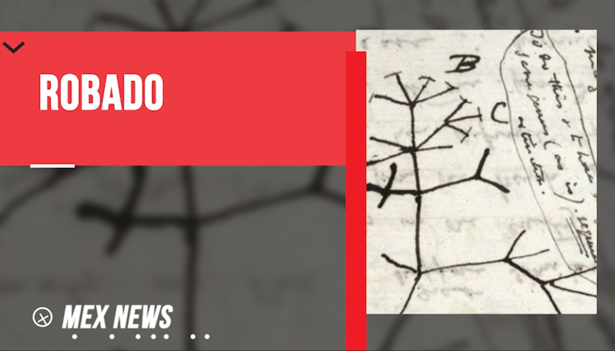 Al estilo del Arca de Noé, un grupo de científicos de Ecuador creó el “Arca de los sapos