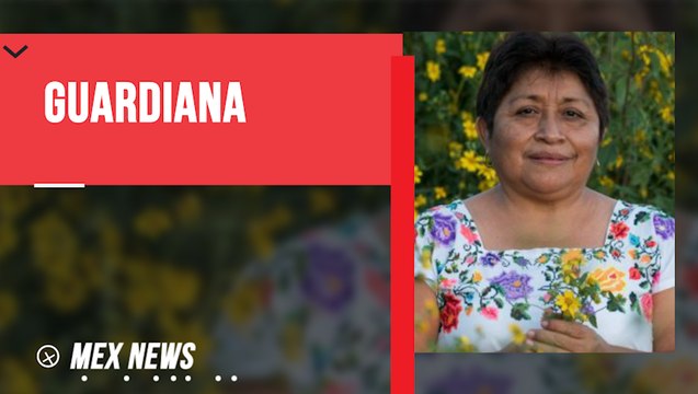INDÍGENA MAYA, CONOCIDA COMO LA GUARDIANA DE LAS ABEJAS GANÓ EL PREMIO NOBEL DEL MEDIOAMBIENTE