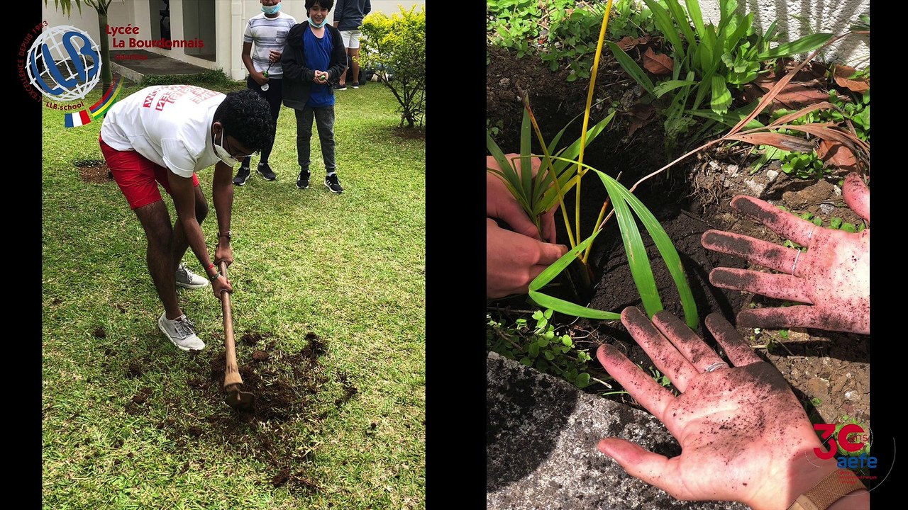 Plantation au lycée La Bourdonnais à Maurice