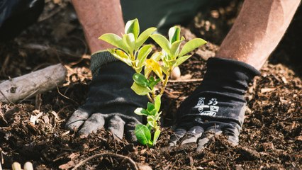 New Zealand Is Inviting People Around the World to Turn Their 2020 Disappointments Into a