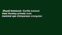 [Read] Notebook: Gorilla lowland west monkey primate male mammal ape chimpanzee orangutan