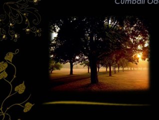 Akşamı Getiren Sesleri Dinle