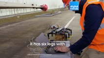 This bot walks along the blades of wind turbines!