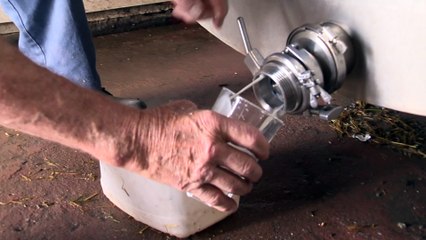 Topo Producteur laitier