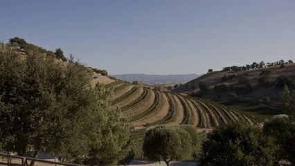 This Must-Visit California Region Has World-Class Wine, Glamping, Horseback Riding, and St