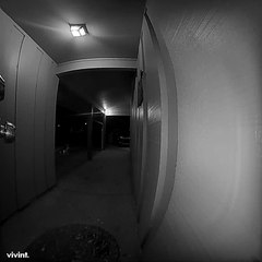 Dog Rings Doorbell to be Let Inside