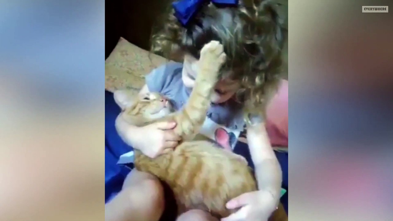 Funny compilation that make you laugh -  N° 37