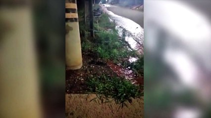 Morador do Periolo registra grande vazamento de água na Avenida Corbélia