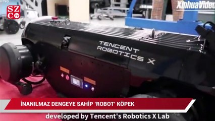 İnanılmaz dengeye sahip 'robot' köpek