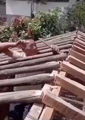 TikToks: I can build a house myself!
