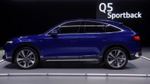 Sportlich, praktisch und elegant - Der Q5 Sportback und der SQ5 Sportback TDI