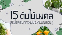 15 ต้นไม้เพิ่มโชคลาภ ต้นไม้มงคล เรียกทรัพย์ น่าปลูกประดับบ้านและสวน