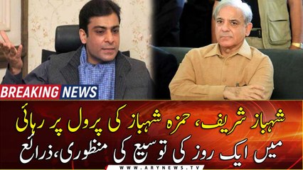 Court approves Shahbaz, Hamza extension in release on parole