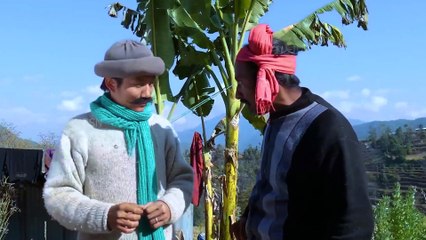 Mr. Hur Hur New Nepali Comedy Series Lyapche Episode 13 | Daily Motion | Farak Paila || Prakash Limbu | Devi Ale | Dilip Tamang | Mitra Tamang