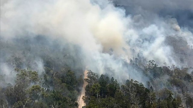 Bush fires destroy heritage-listed forests on Australia’s Fraser Island