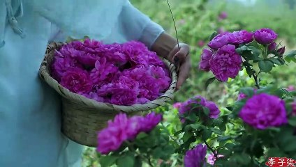 Comida de flores de colores, excavando diferentes formas de comer rosas