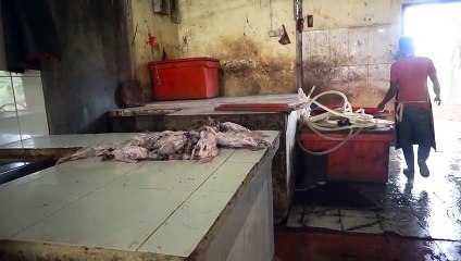 HOW TO CLEANING CHICKEN PROCESS WITHOUT TOUCH