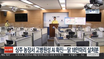 상주 농장서 고병원성 AI 확진…닭 18만마리 살처분