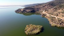 AYDIN - Kuş cenneti Bafa Gölü doğa tutkunlarını cezbediyor