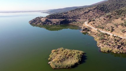 AYDIN - Kuş cenneti Bafa Gölü doğa tutkunlarını cezbediyor