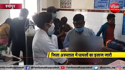श्योपुर में भीषण सड़क हादसा