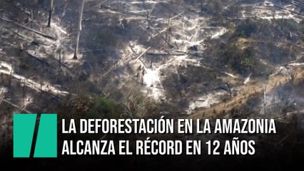 La deforestación en la Amazonia se dispara y alcanza su récord en 12 años