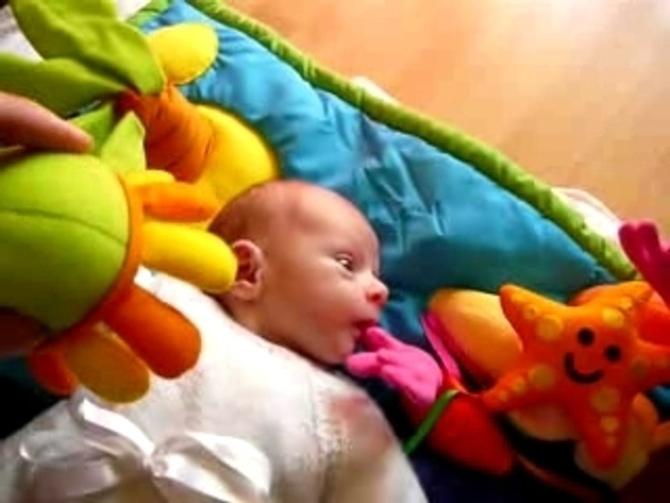 Moi zaime bien les zanémones de mer (troisième semaine)