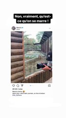 Illan épinglé par Hugo Clément sur Instagram, le 1er décembre 2020