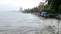Cyclone Nisarga makes landfall in Mumbai_ High tides on shores of Mumbai