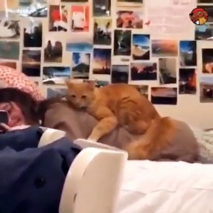 Wai, how cute!