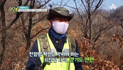 ※아프리카 돼지 열병 비상※ 전염병 확산을 막기 위한 최전선 사투!