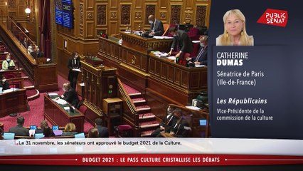 Budget 2021 : le Pass culture cristallise les débats - Les matins du Sénat (01/12/2020)