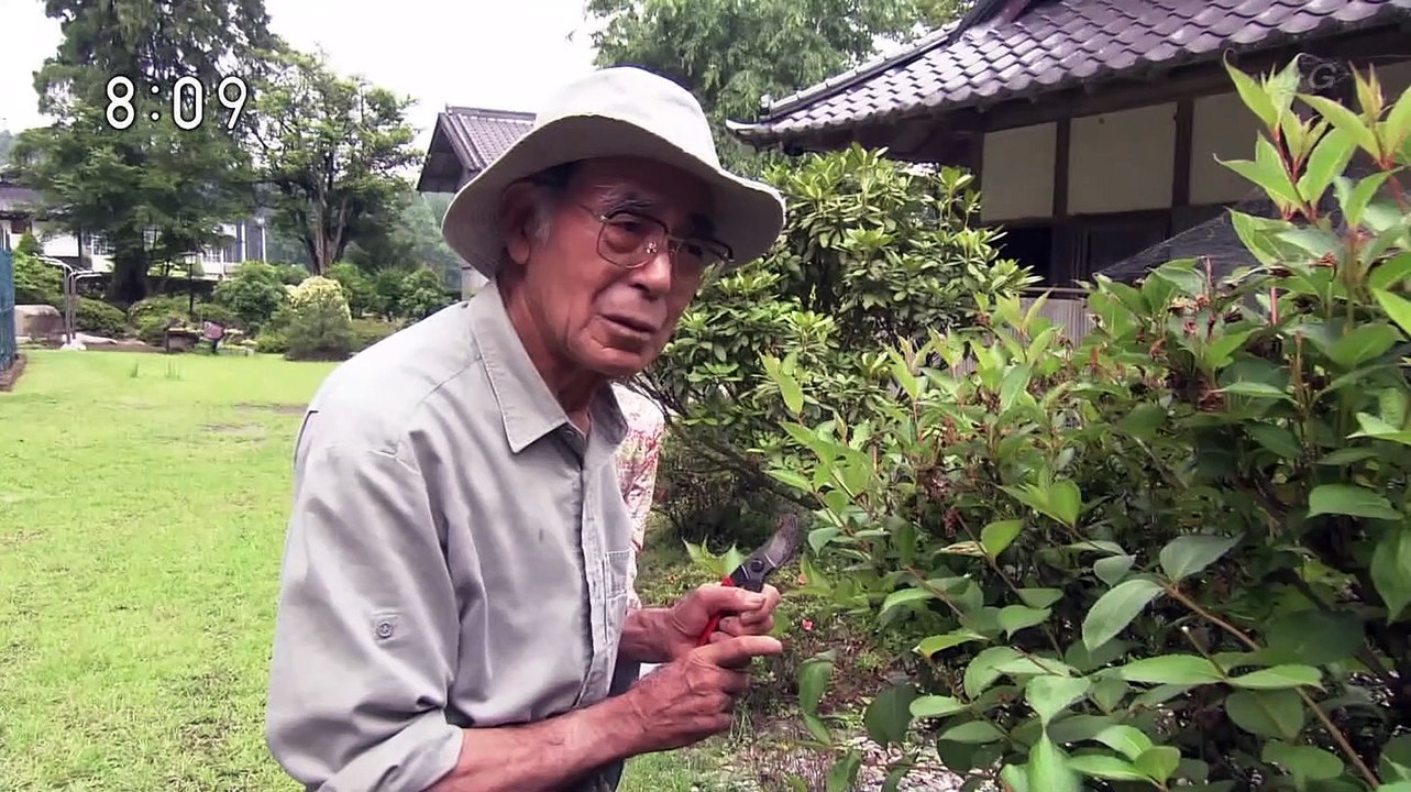 NHK総合1・東京 20190721 080502-083002