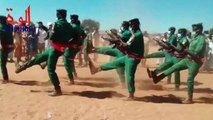 Tchad : les provinces célèbrent le 1er décembre avec des défilés militaires