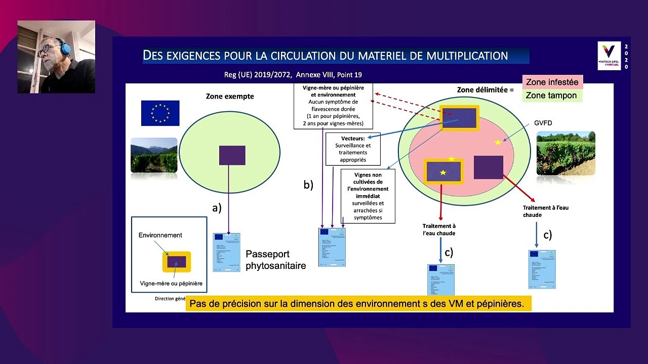 Flavescence Dorée : évolutions de la règlementation