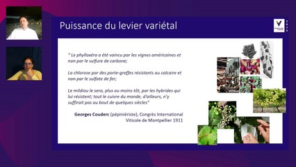 Variétés résistantes et identité des vins