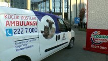 KAYSERİ - Kocasinan Belediyesi 3 bin 410 hasta ve yaralı hayvana sahip çıktı