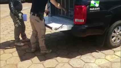 Mulher que foi detida em ação da Denarc é encaminhada à Cadeia Pública