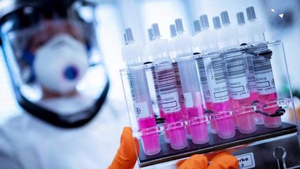 फ़ाइज़र की कोरोना वैक्सीन को ब्रिटेन में मंज़ूरी, अगले हफ्ते से लगेगा टीका