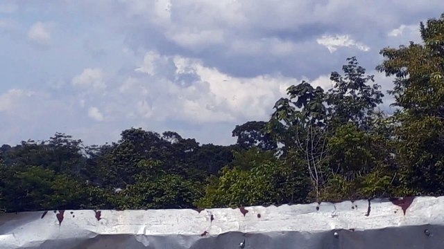 Airbus A321 PT-MXB na aproximação final antes de pousar em Manaus vindo de Guarulhos