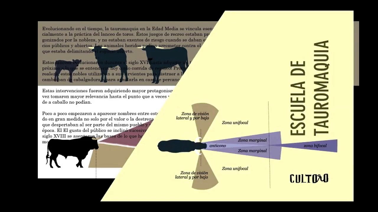 Parar al toro de salida