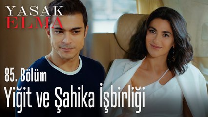 Yiğit, Şahika'yla iş birliği yapıyor - Yasak Elma 85. Bölüm