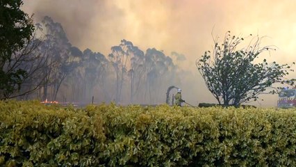 2020, um dos anos mais quentes de todos