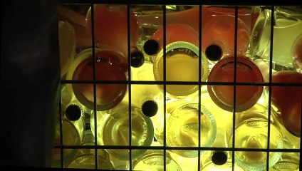 Dans le nord de l'Italie, un "spumante" dort au fond de la mine