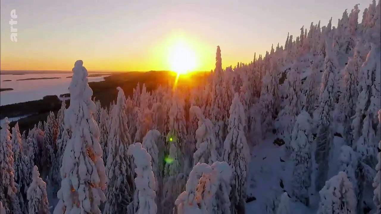 Une Année dans le Canada Sauvage - Hiver