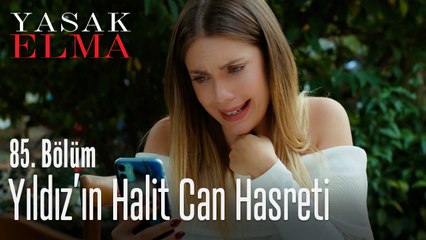 Yıldız'ın Halit Can hasreti - Yasak Elma 85. Bölüm