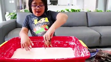 Easy DIY Science Experiment for Kids How to make Dinosaur Fossil Dig Exploration