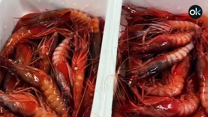 Los pescadores se preparan para una campaña de Navidad plagada de incertidumbre