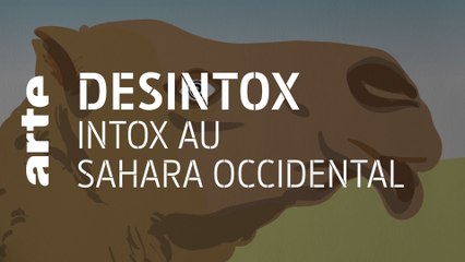Intox au Sahara occidental | 02/12/2020 | Désintox | ARTE